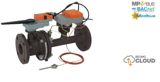 P6065W800EV-BAC