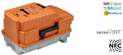 PRKCA-BAC-S2-T-250